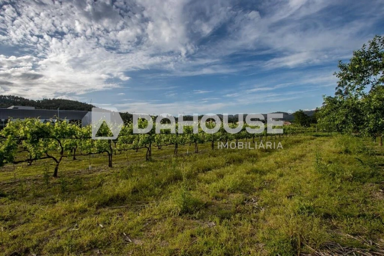 Terreno para Venda em Briteiros São Salvador e Briteiros Santa Leocádia Foto 15