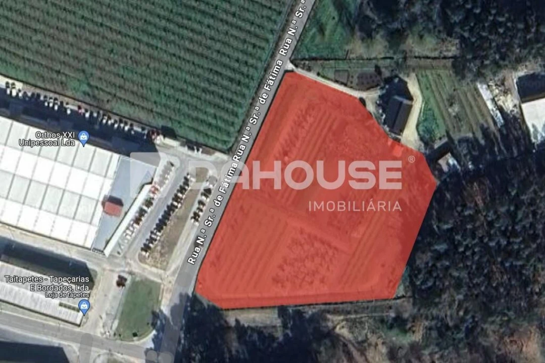 Terreno para Venda em Briteiros São Salvador e Briteiros Santa Leocádia Foto 25