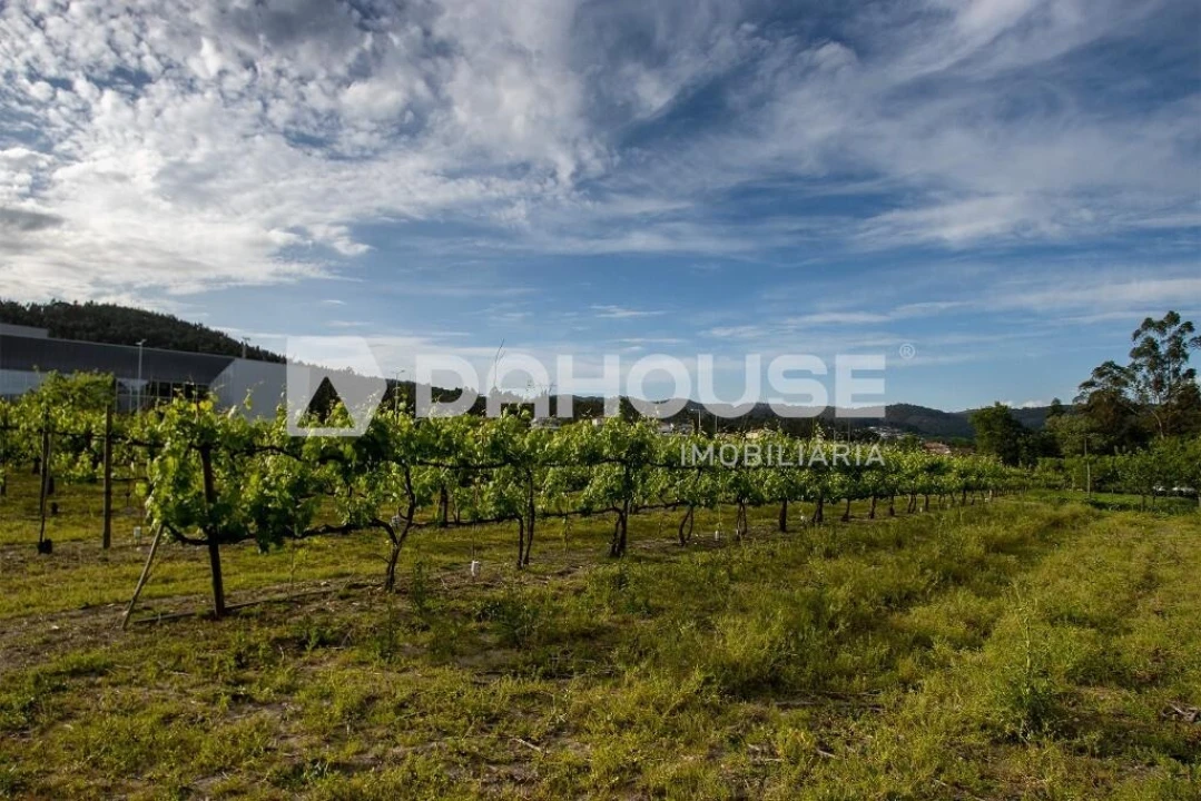 Terreno para Venda em Briteiros São Salvador e Briteiros Santa Leocádia Foto 16