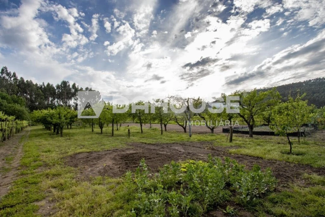 Terreno para Venda em Briteiros São Salvador e Briteiros Santa Leocádia Foto 7