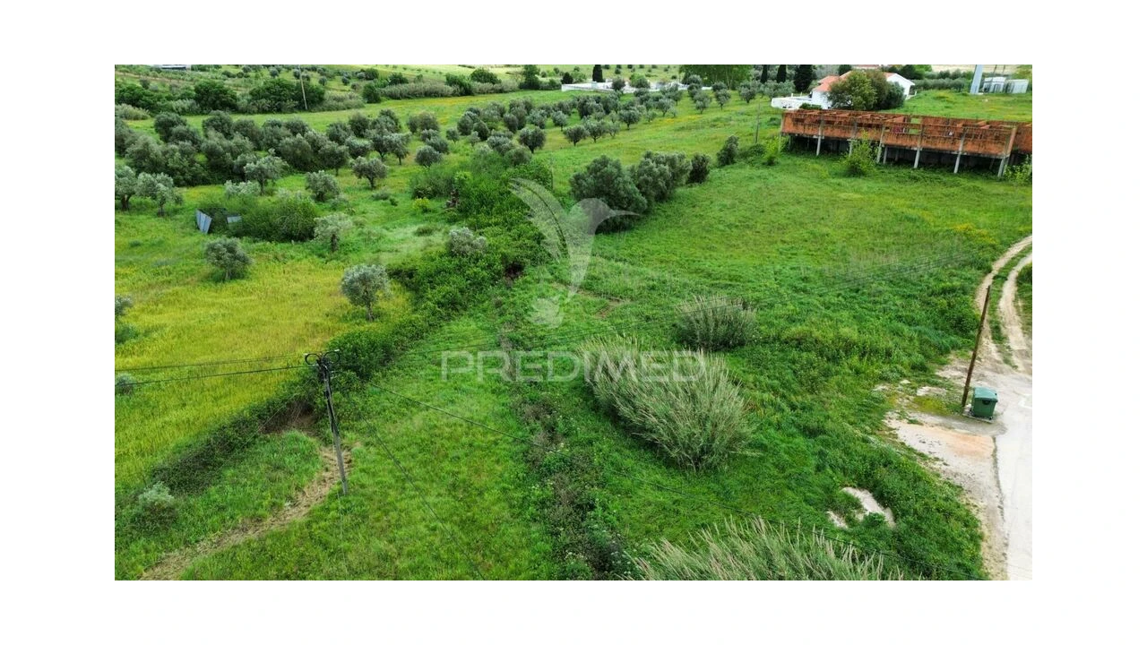 Terreno para Venda em São Vicente do Paul e Vale de Figueira Foto 5