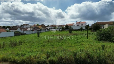 Terreno para Venda em São Vicente do Paul e Vale de Figueira
