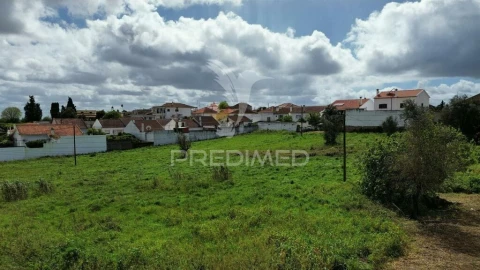 Terreno para Venda em São Vicente do Paul e Vale de Figueira