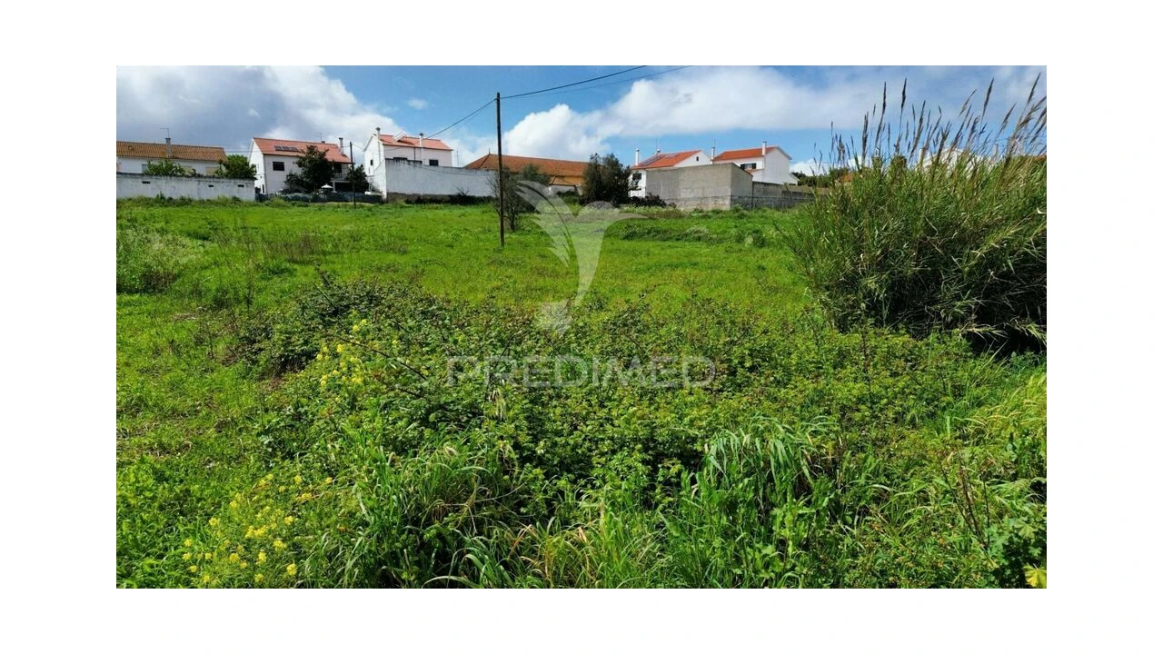 Terreno para Venda em São Vicente do Paul e Vale de Figueira Foto 14