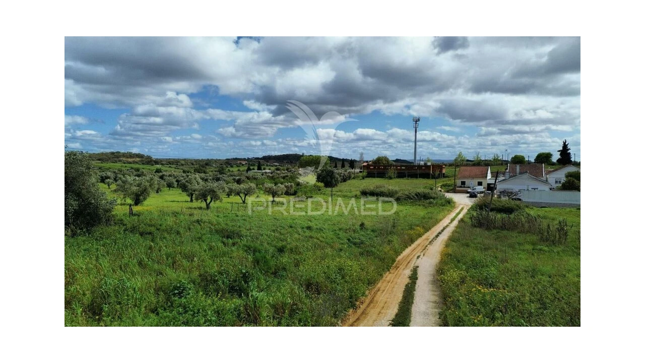 Terreno para Venda em São Vicente do Paul e Vale de Figueira Foto 18