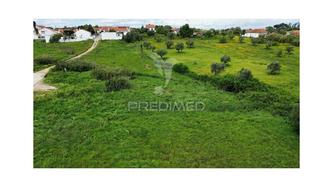 Terreno para Venda em São Vicente do Paul e Vale de Figueira Foto 11