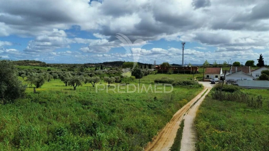 Terreno para Venda em São Vicente do Paul e Vale de Figueira Foto 18
