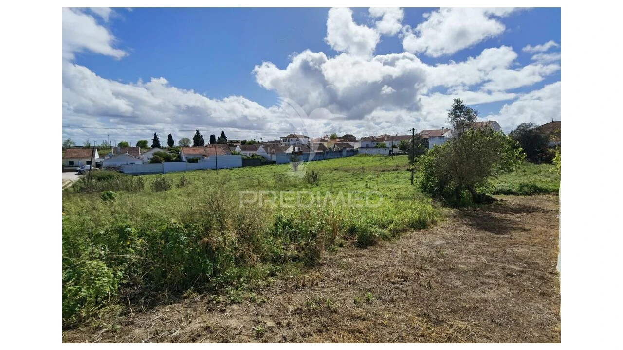 Terreno para Venda em São Vicente do Paul e Vale de Figueira Foto 19