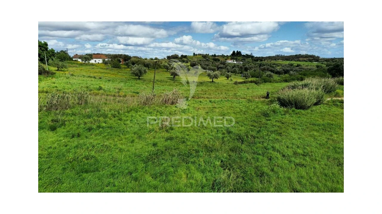 Terreno para Venda em São Vicente do Paul e Vale de Figueira Foto 9
