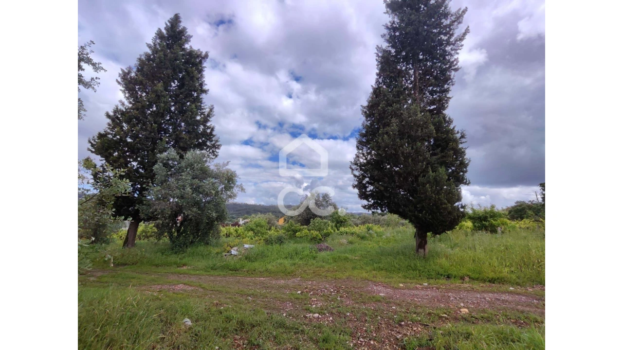 Terreno para Venda em Alvaiázere Foto 1