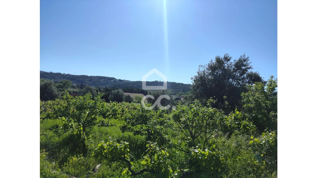 Terreno para Venda em Alvaiázere Foto 7