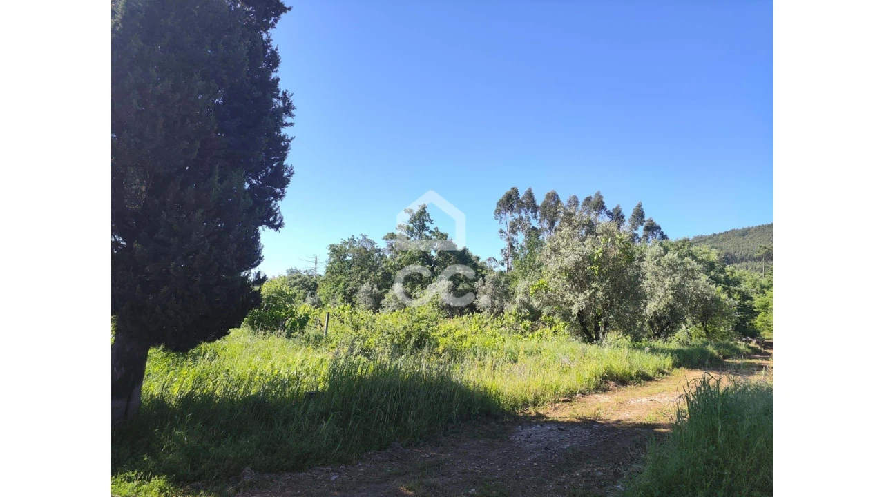 Terreno para Venda em Alvaiázere Foto 2
