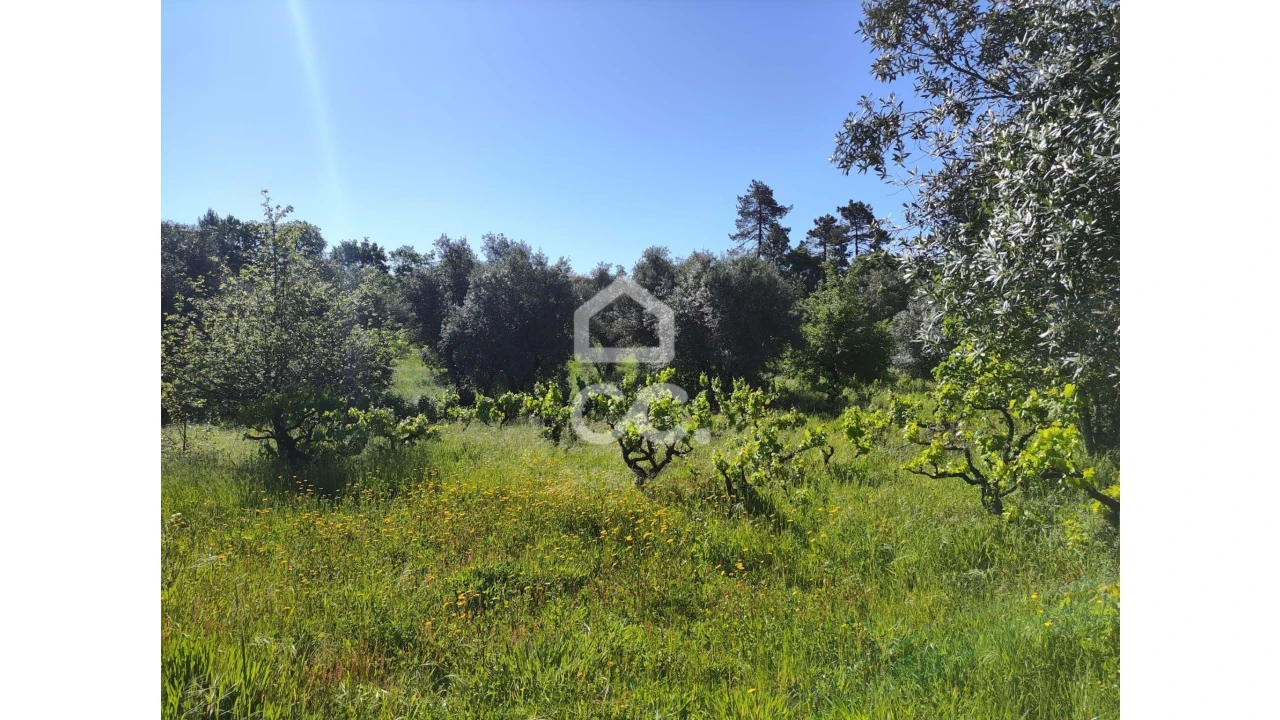 Terreno para Venda em Alvaiázere Foto 9