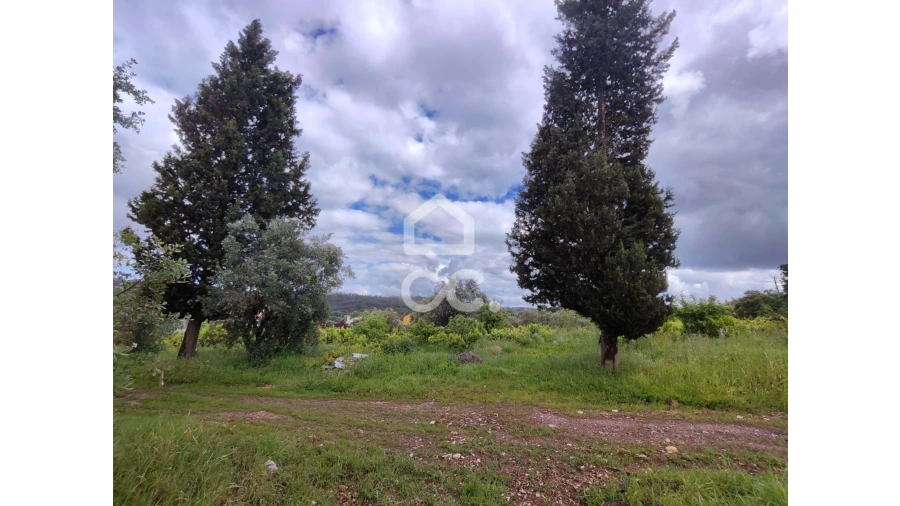 Terreno para Venda em Alvaiázere