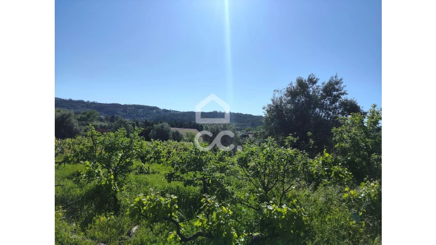 Terreno para Venda em Alvaiázere Foto 7