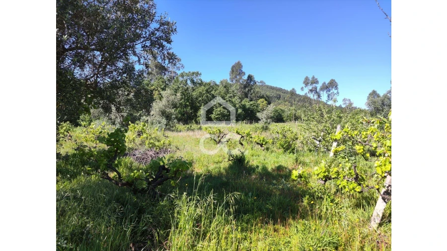 Terreno para Venda em Alvaiázere Foto 12