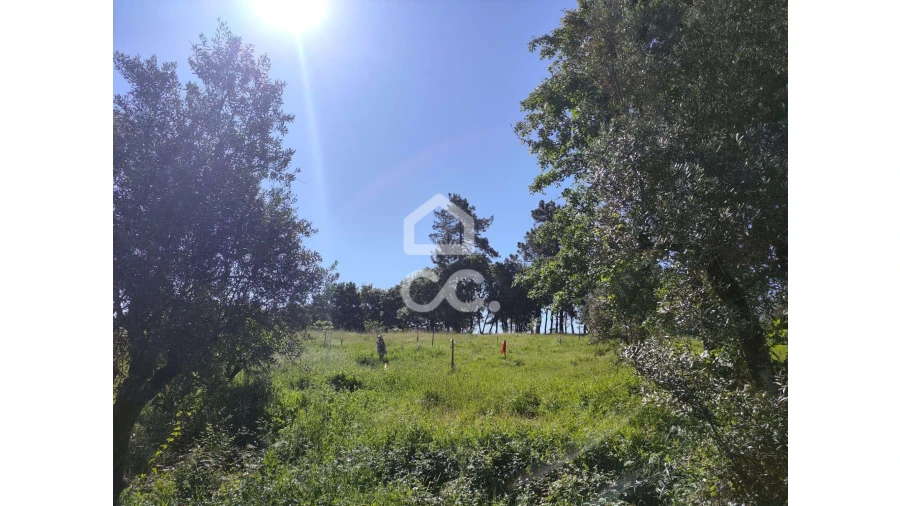 Terreno para Venda em Alvaiázere Foto 6
