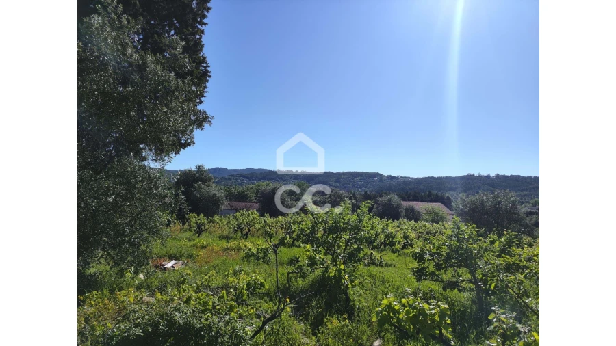 Terreno para Venda em Alvaiázere Foto 13