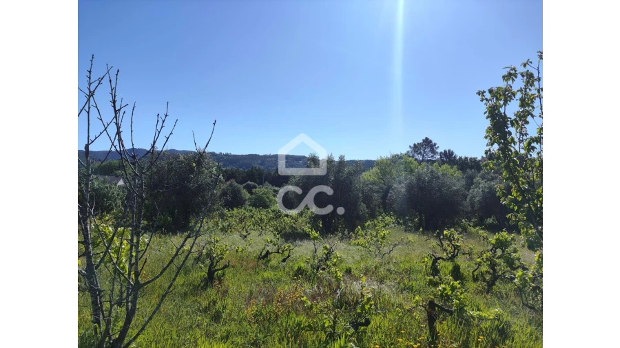 Terreno para Venda em Alvaiázere Foto 8