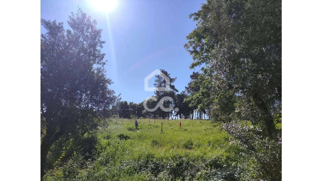 Terreno para Venda em Alvaiázere Foto 6