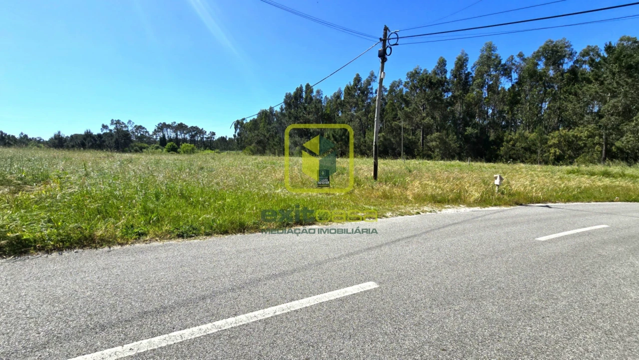 Terreno Agricola ou Rústico para Venda em Alhadas Foto 3