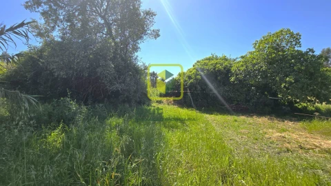 Terreno Agricola ou Rústico para Venda em Alhadas