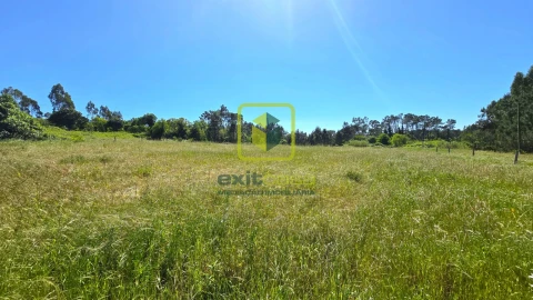 Terreno Agricola ou Rústico para Venda em Alhadas