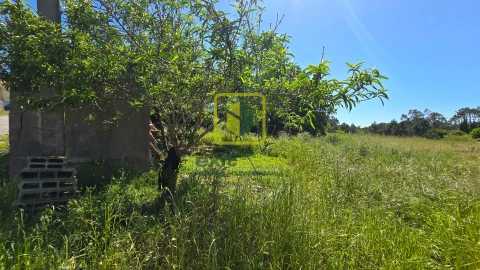 Terreno Agricola ou Rústico para Venda em Alhadas