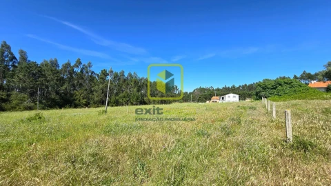 Terreno Agricola ou Rústico para Venda em Alhadas