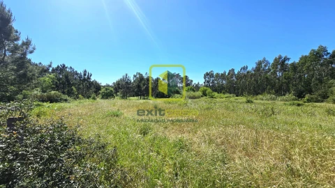 Terreno Agricola ou Rústico para Venda em Alhadas