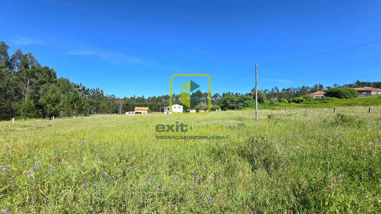 Terreno Agricola ou Rústico para Venda em Alhadas Foto 11
