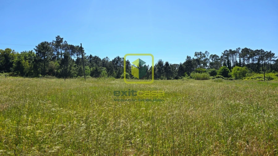 Terreno Agricola ou Rústico para Venda em Alhadas Foto 7
