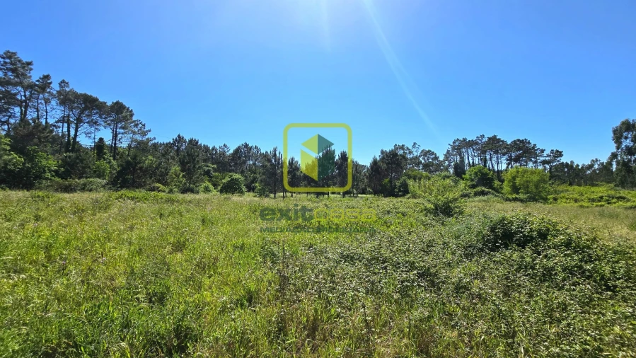 Terreno Agricola ou Rústico para Venda em Alhadas Foto 5