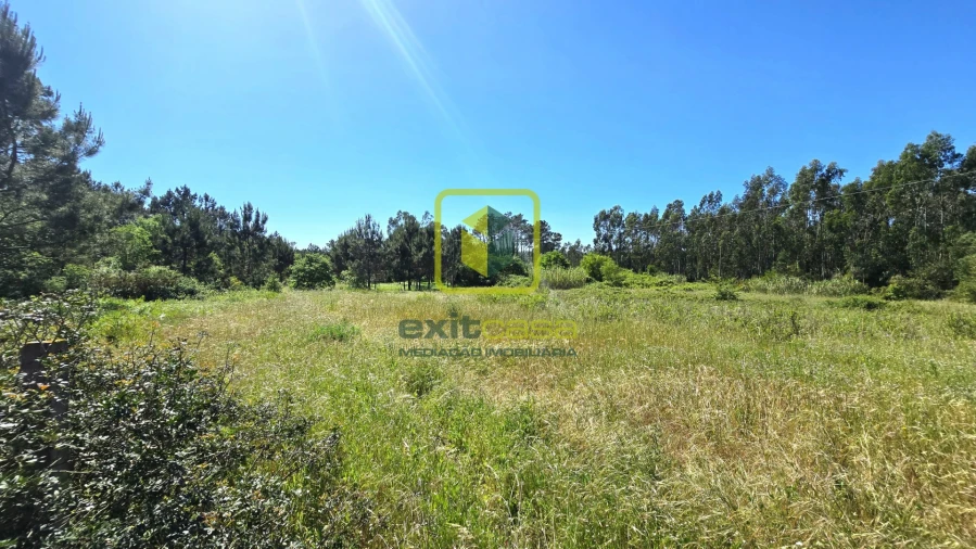 Terreno Agricola ou Rústico para Venda em Alhadas Foto 13