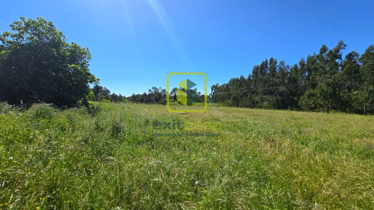 Terreno Agricola ou Rústico para Venda em Alhadas Foto 15