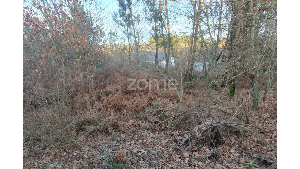 Terreno para Venda em Calde Foto 8