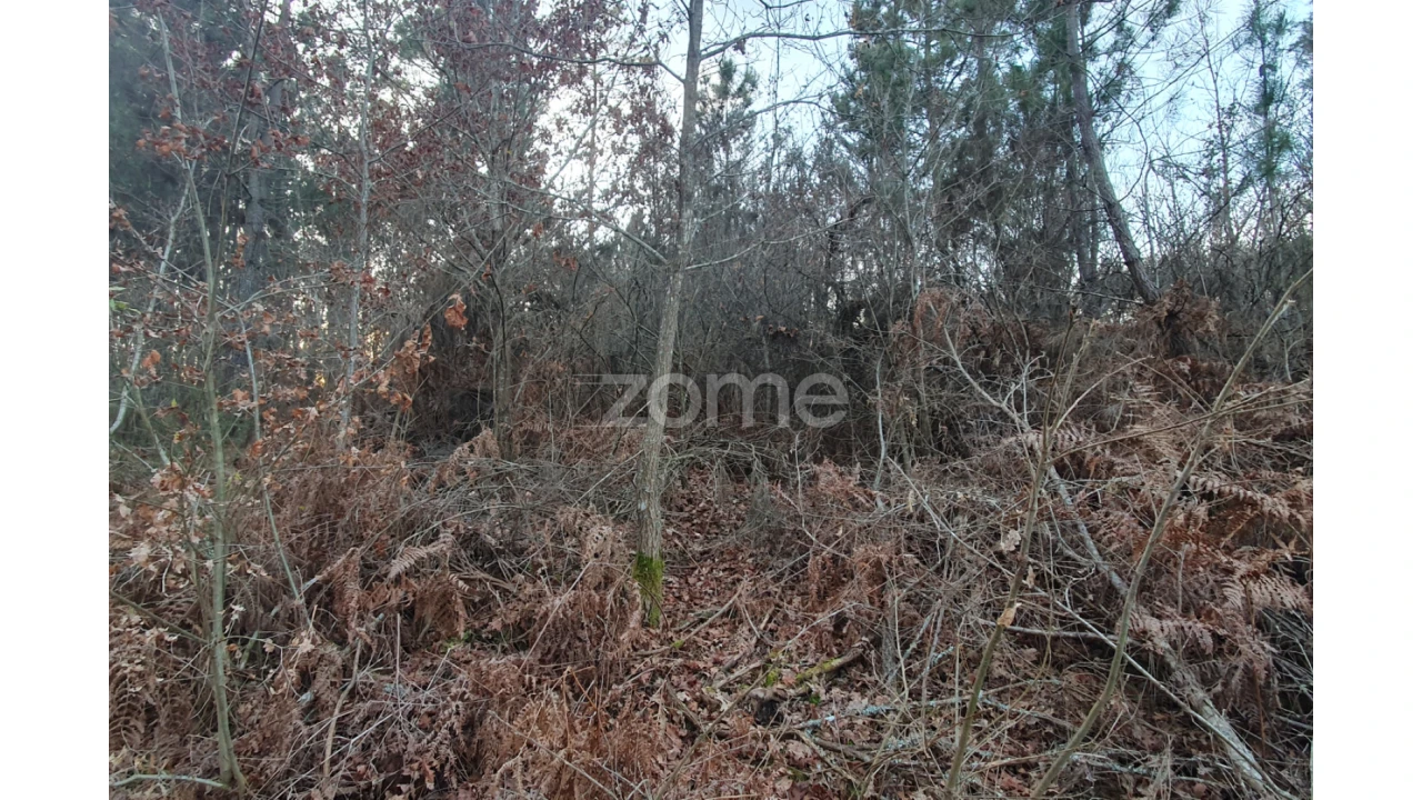 Terreno para Venda em Calde Foto 10