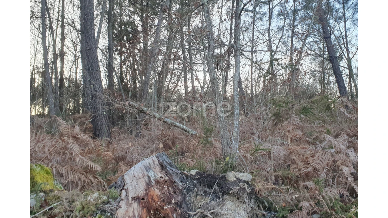Terreno para Venda em Calde Foto 12