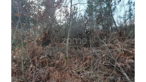 Terreno para Venda em Calde
