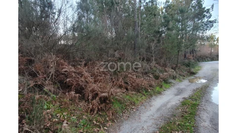 Terreno para Venda em Calde