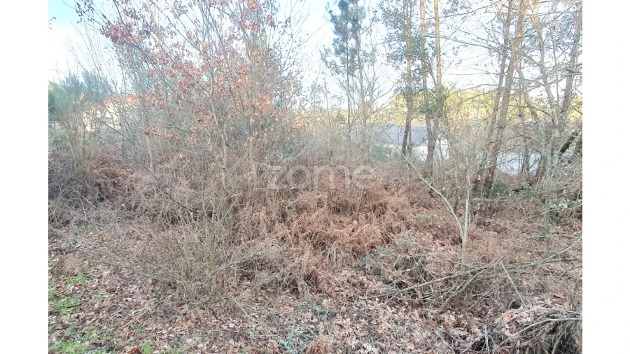 Terreno para Venda em Calde Foto 7