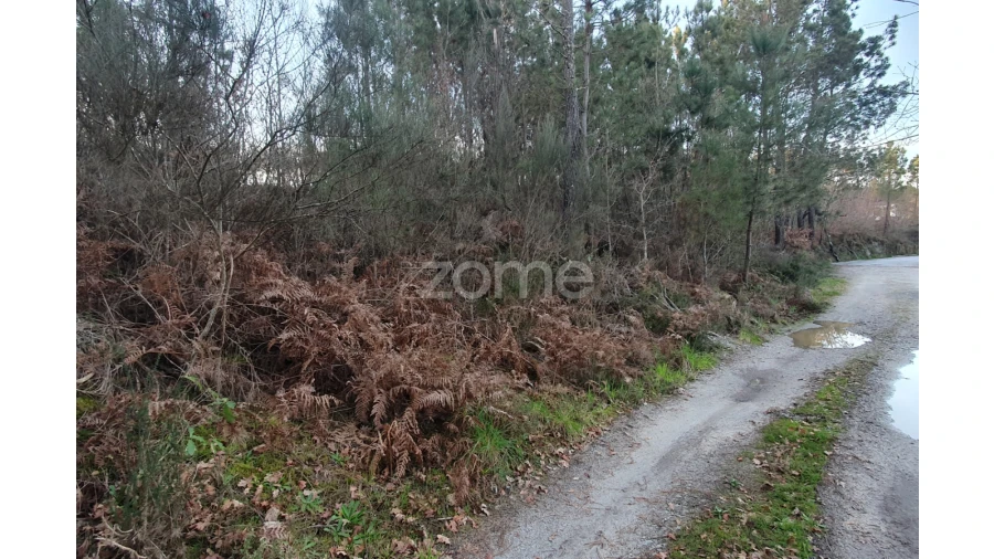 Terreno para Venda em Calde Foto 11