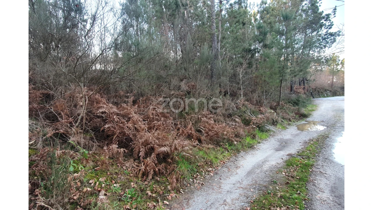 Terreno para Venda em Calde Foto 1