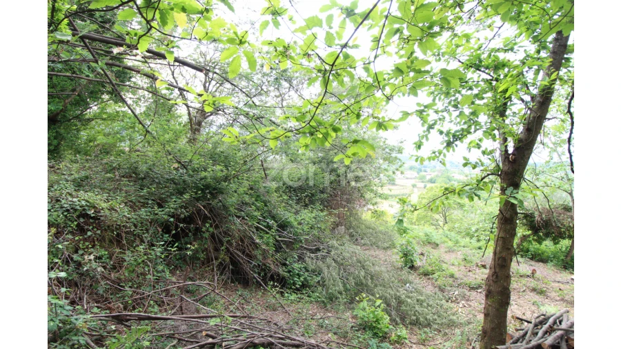 Moradia T2 para Venda em Rebordões (Souto) Foto 5