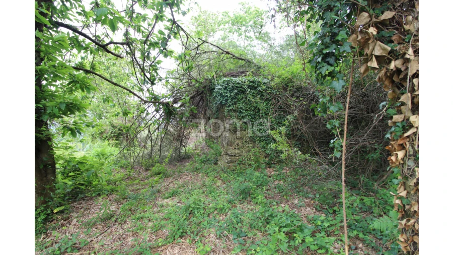 Moradia T2 para Venda em Rebordões (Souto) Foto 2