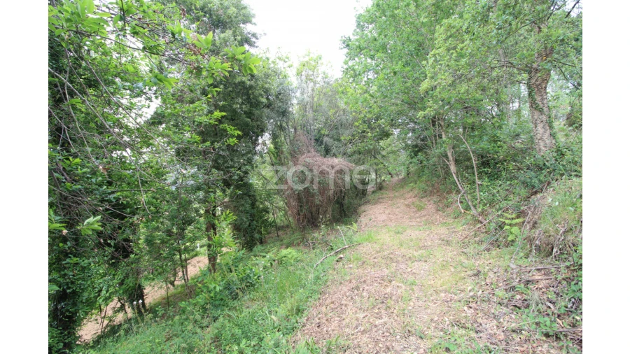 Moradia T2 para Venda em Rebordões (Souto) Foto 8