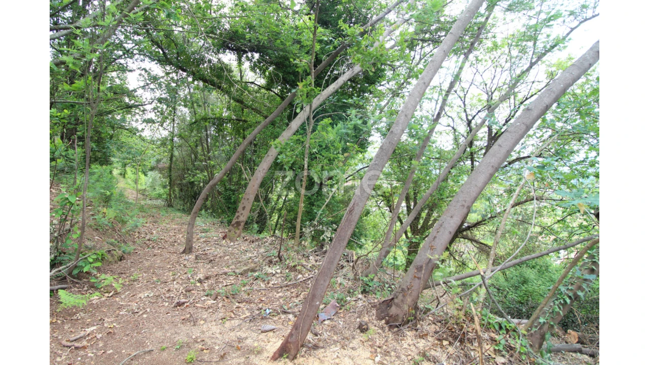 Moradia T2 para Venda em Rebordões (Souto) Foto 4