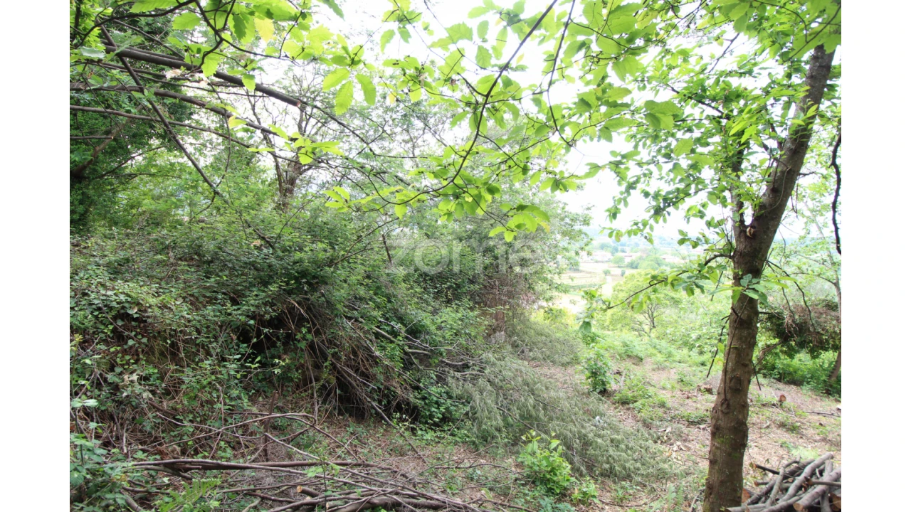 Moradia T2 para Venda em Rebordões (Souto) Foto 5