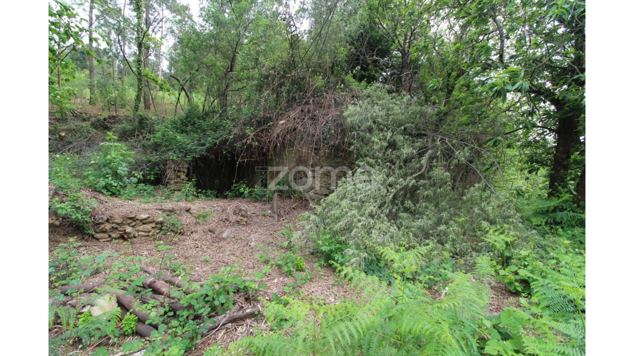 Moradia T2 para Venda em Rebordões (Souto) Foto 7