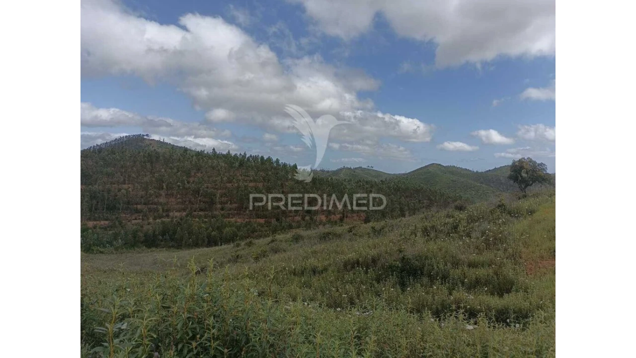 Terreno para Venda em Marmelete Foto 1